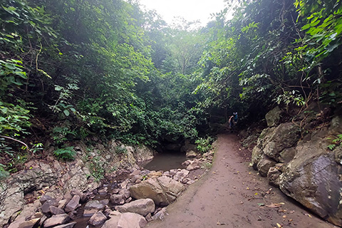 Dharagiri Fall West Singhbhum