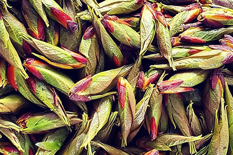 Futkal Chutney